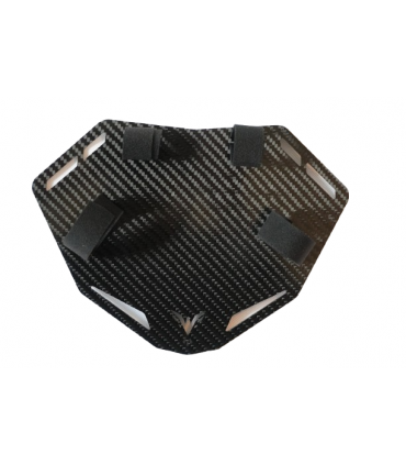 Plaque frontale carbone