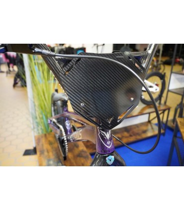 Plaque frontale carbone