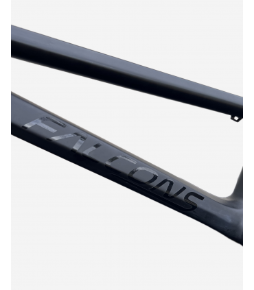 Cadre + fourche composite Falcons